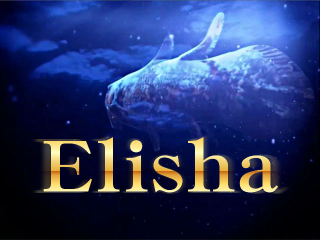 http://i1155.photobucket.com/albums/p541/coDDRy/DDR%20Graphics/Elisha-bg2.png
