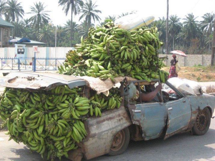 africa-bananas-3023044k.jpg