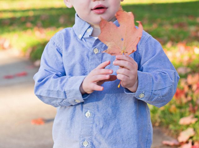 In Residence | family photos 2015