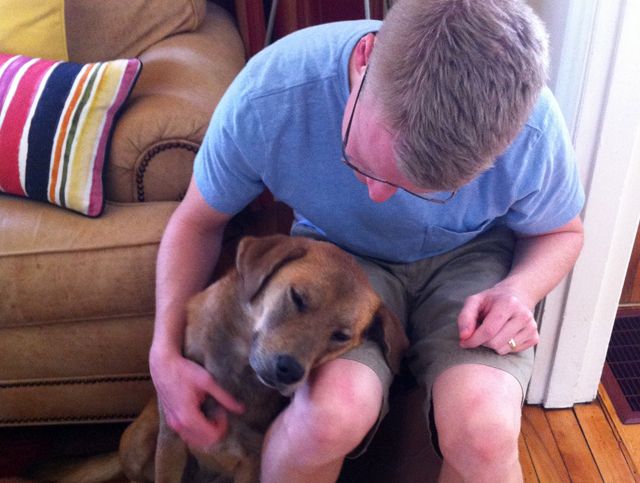 Ginger the pup