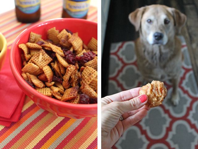 In Residence | cookbook review: Sweet Eats and Dog Treats