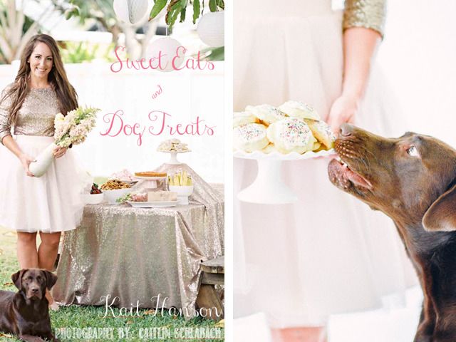In Residence | cookbook review: Sweet Eats and Dog Treats