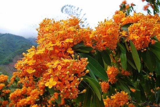 [Image: suoi-hoa21_zpsyopoepmb.jpg]