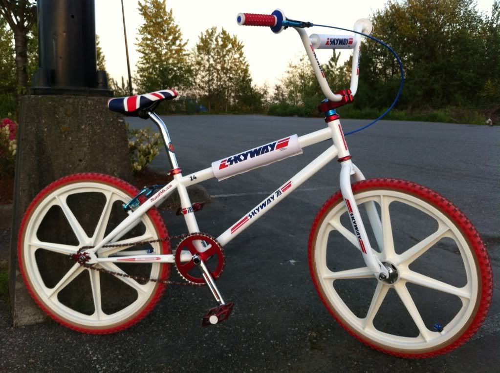 skyway bmx frame