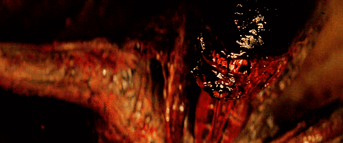 tumblr_mx8uylWfAa1sl5hsfo1_500_zps01b00a