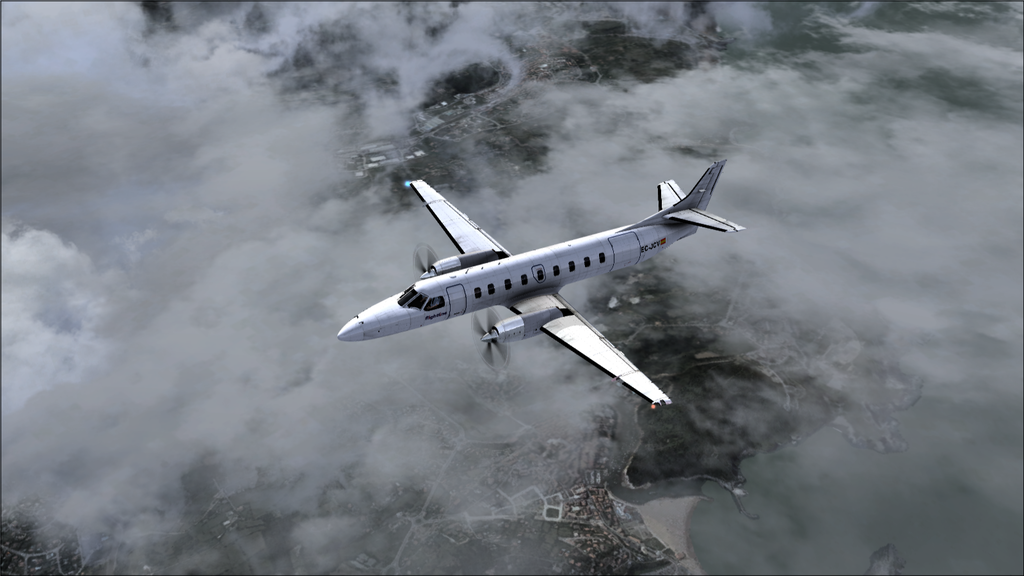 FSX Flight Simulator X
