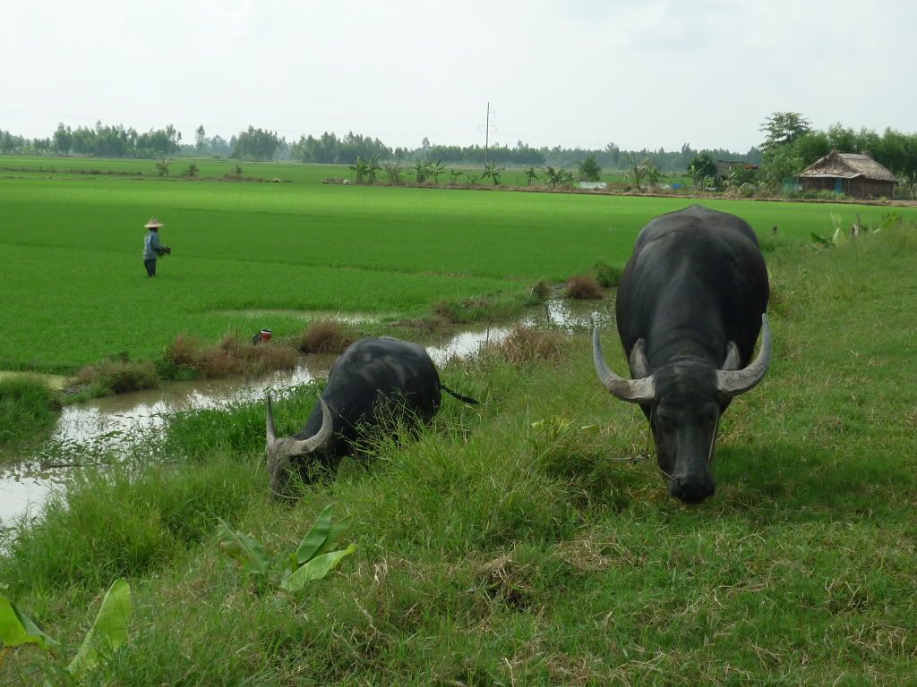 P1010865.jpg