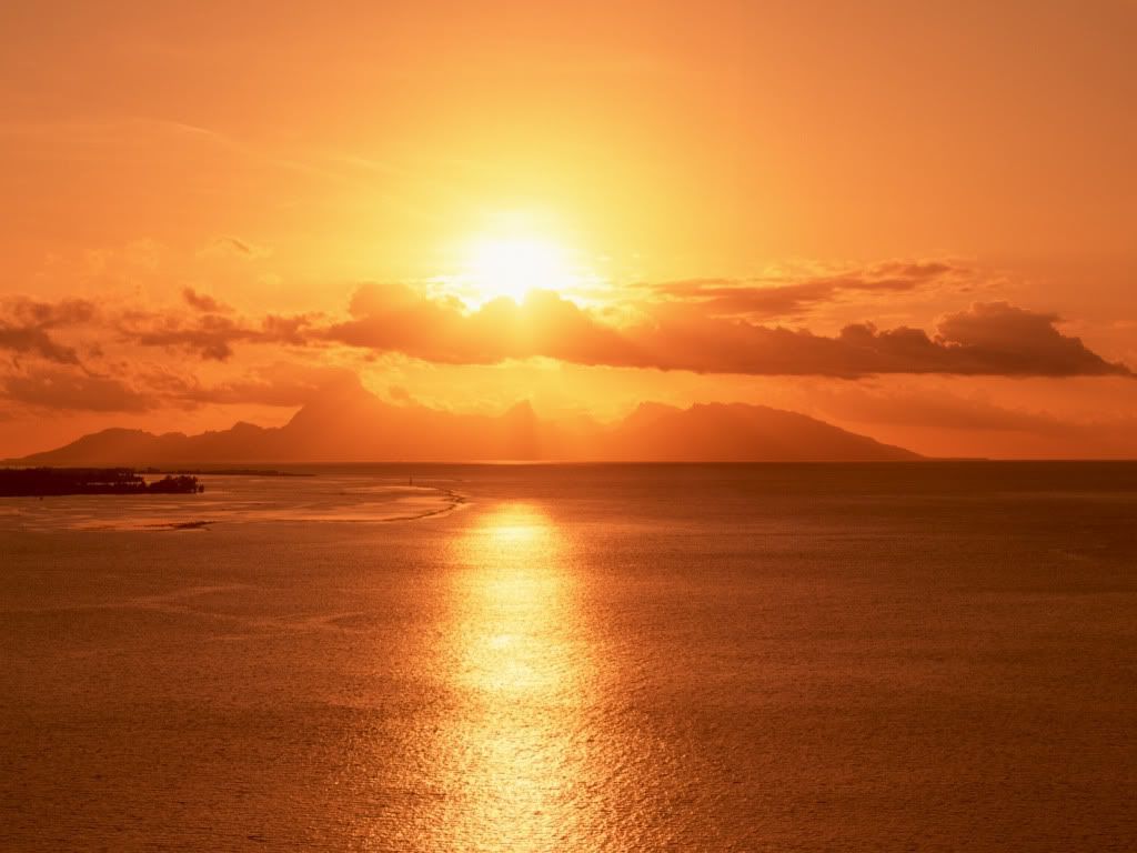 nature_0028.jpg