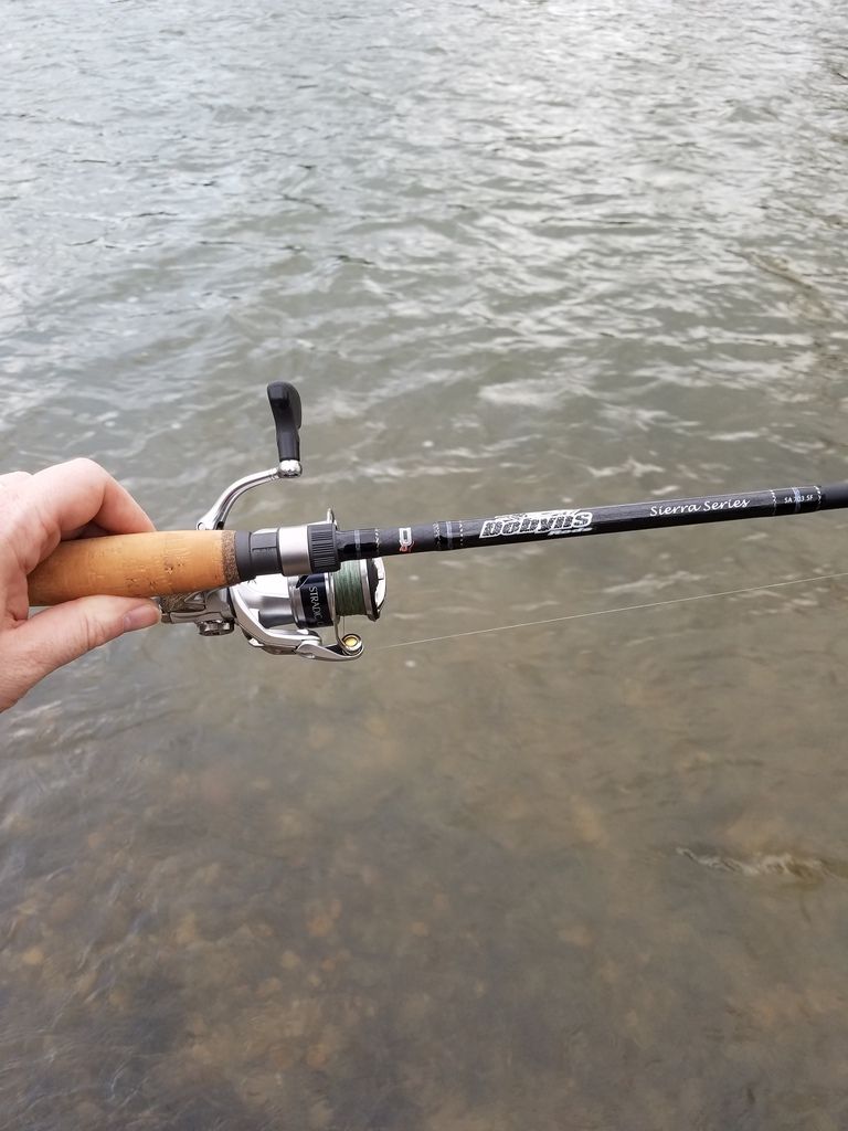 dobyns sierra spinning rod
