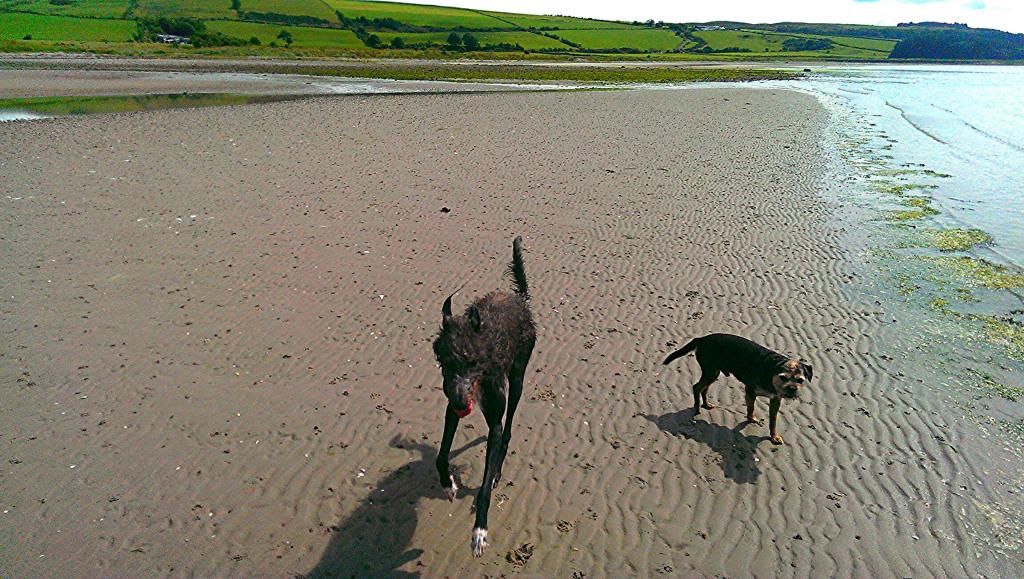 IMAG0303_zpskk0djvb_edit_1406907715382_z