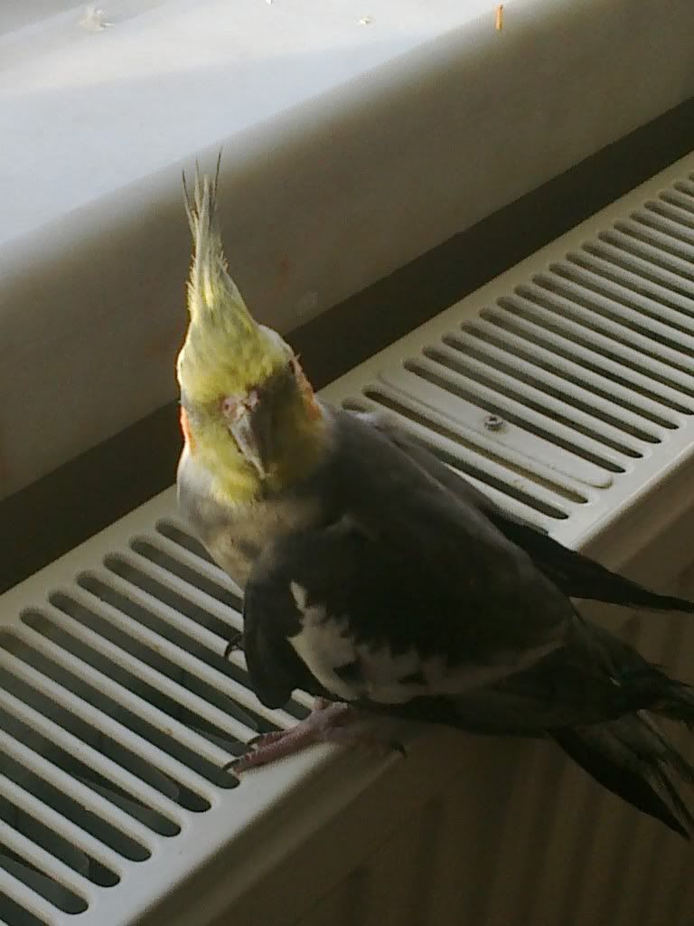 11032012044.jpg