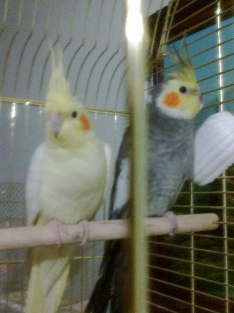 11032012048.jpg
