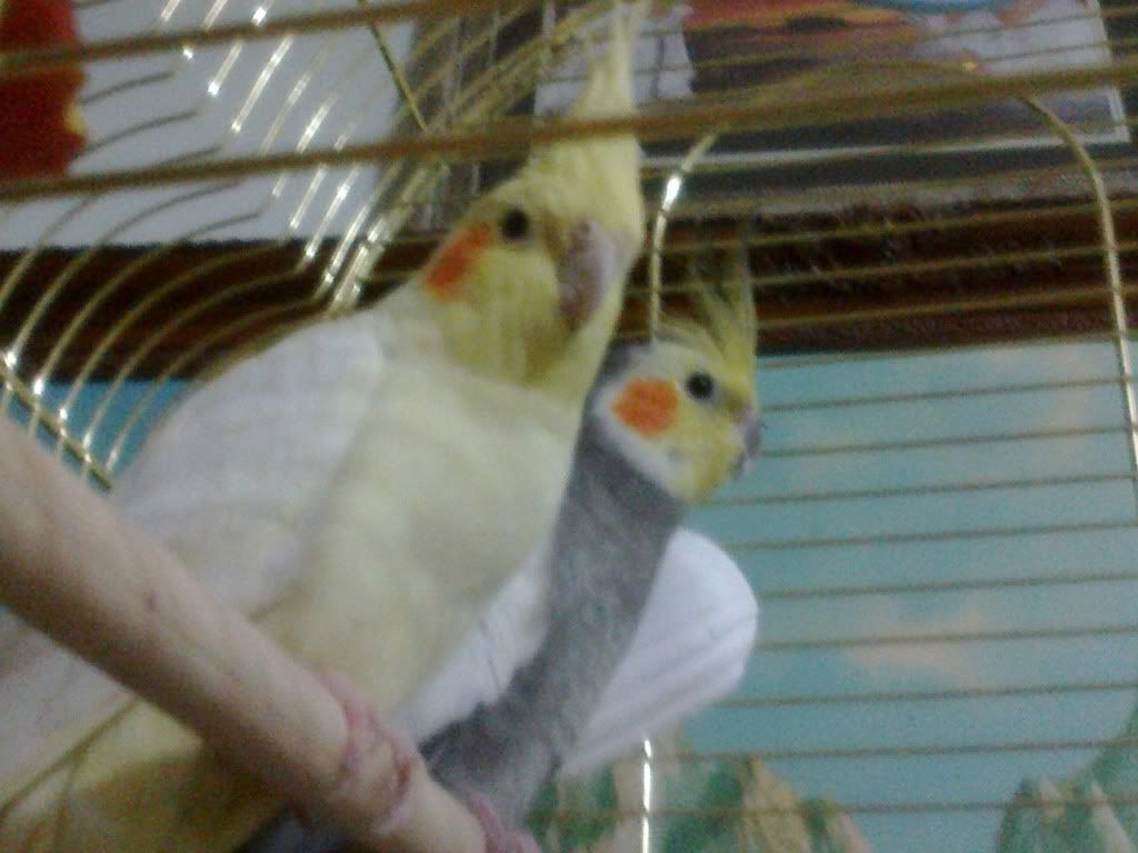 11032012049.jpg