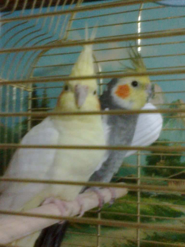 11032012050.jpg
