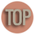 top button for website