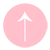 light pink top button