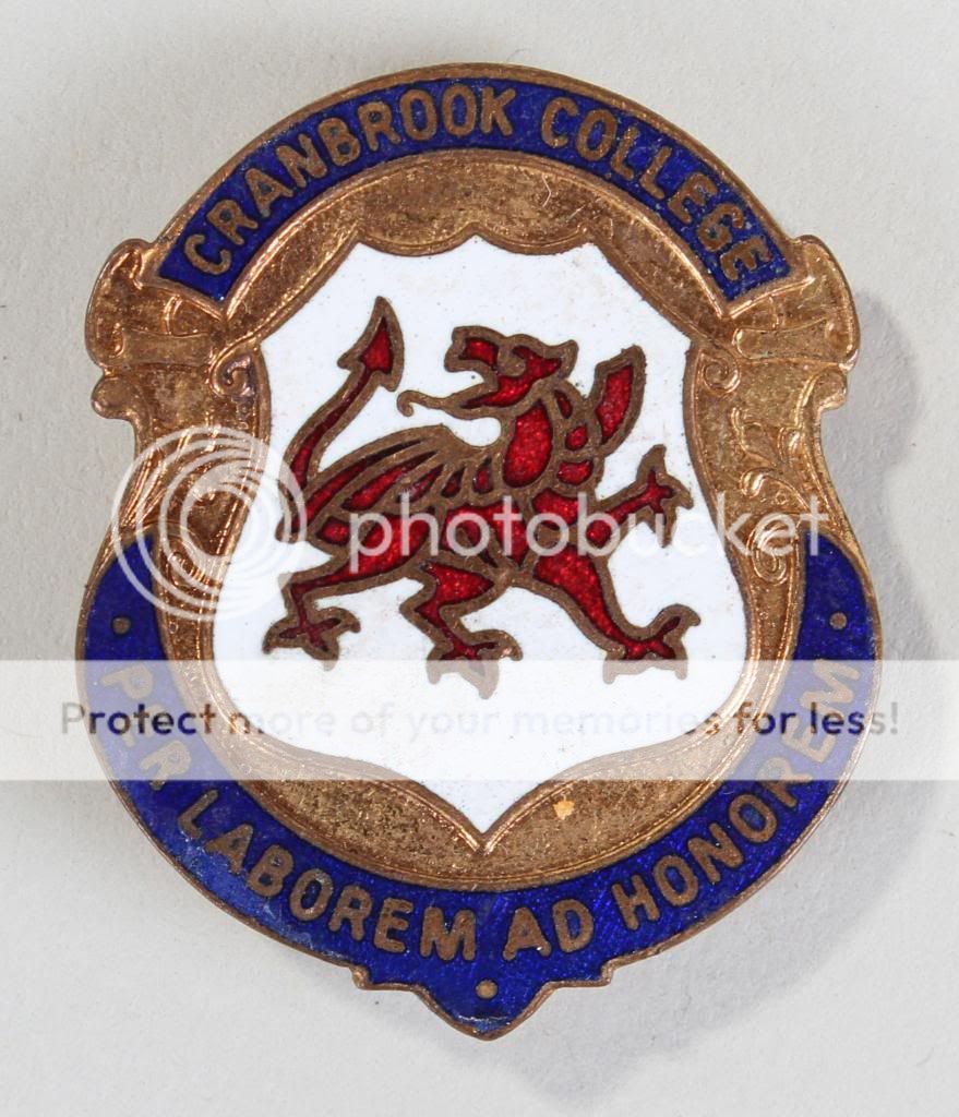 wales dragon cranbrook college enamel badge