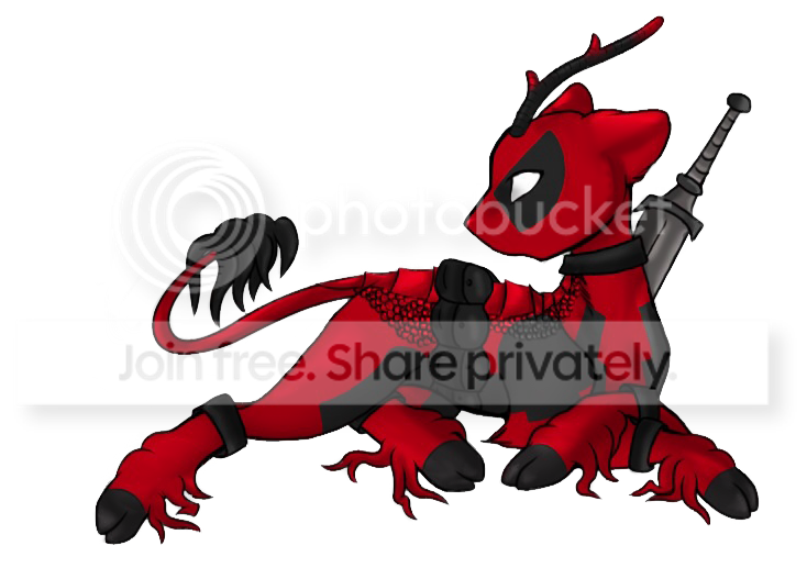 User Image