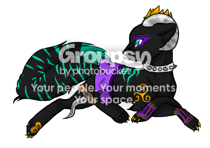 User Image