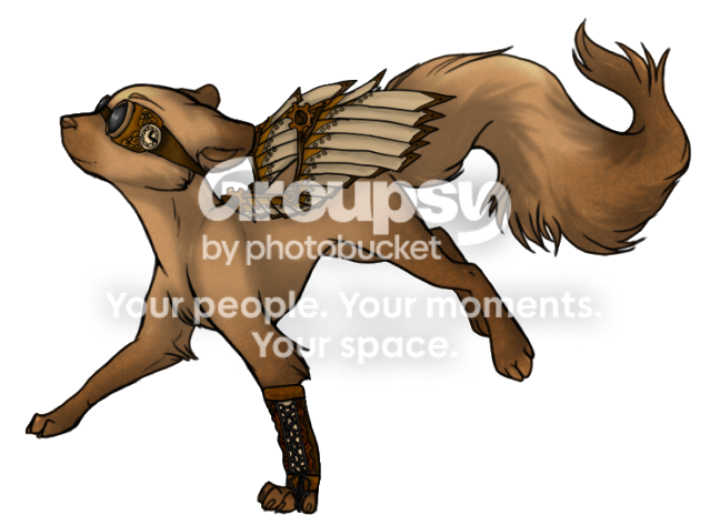 User Image
