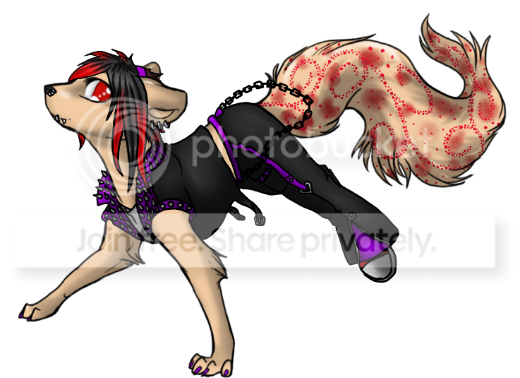 User Image