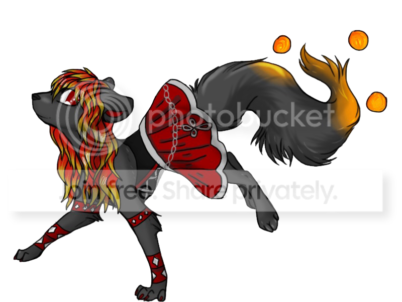 User Image